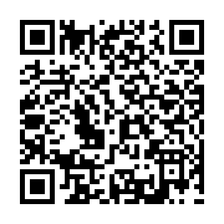QR code for N317P