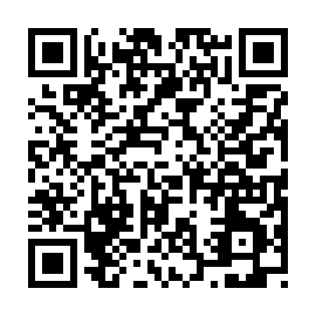 QR code for N317X