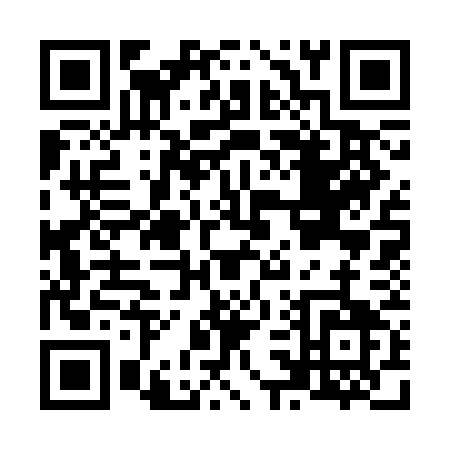 QR code for N333G