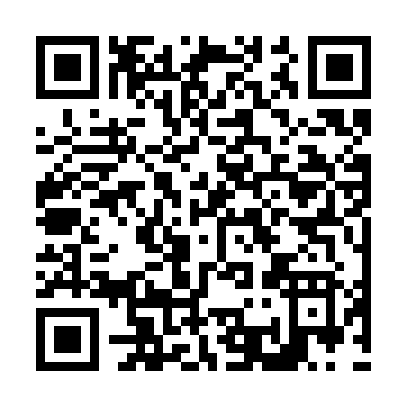 QR code for N333J