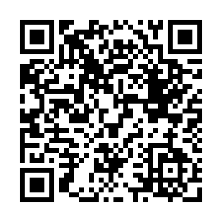 QR code for N336U