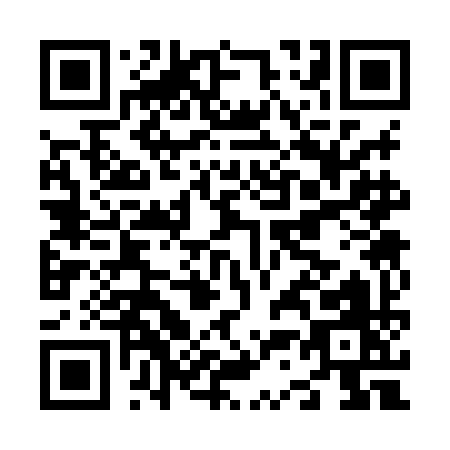 QR code for N338I