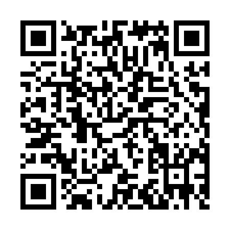 QR code for N341Y
