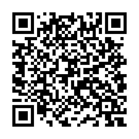 QR code for plate N36 0ZV