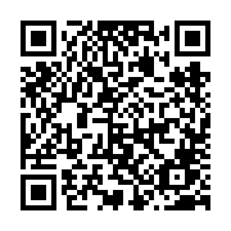 QR code for plate N36 6NV