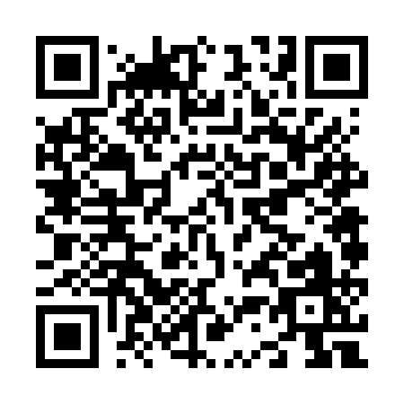 QR code for N366Q