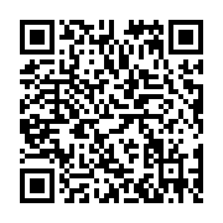 QR code for N381V