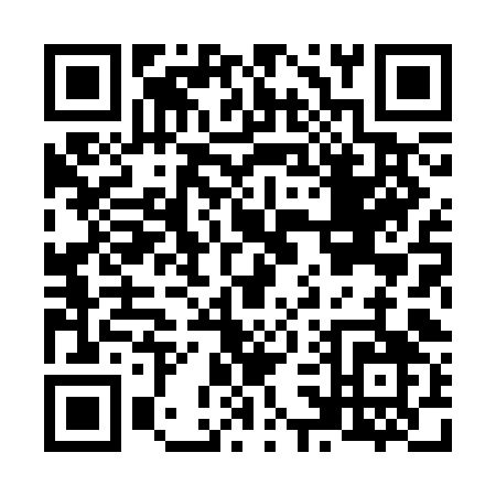 QR code for N383K
