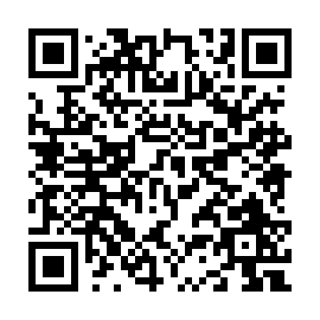 QR code for N384B