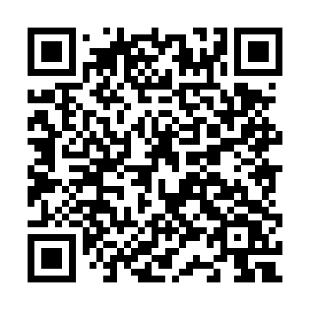 QR code for plate N38 4TV