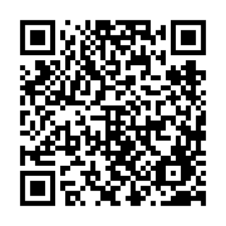 QR code for N386EF