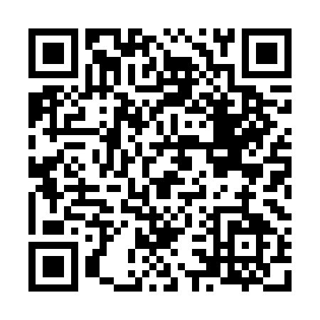 QR code for N386M