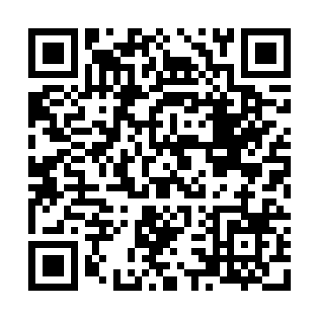 QR code for N386R