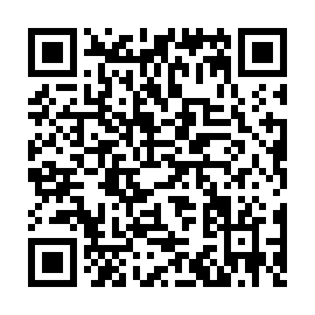 QR code for N387B