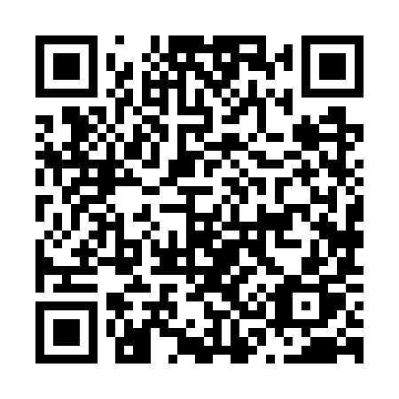 QR code for N387YP