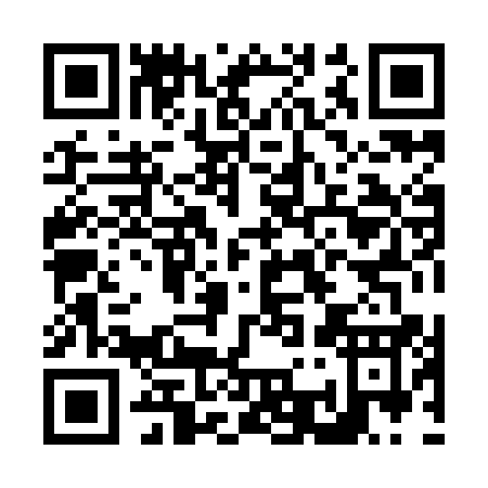QR code for N389A