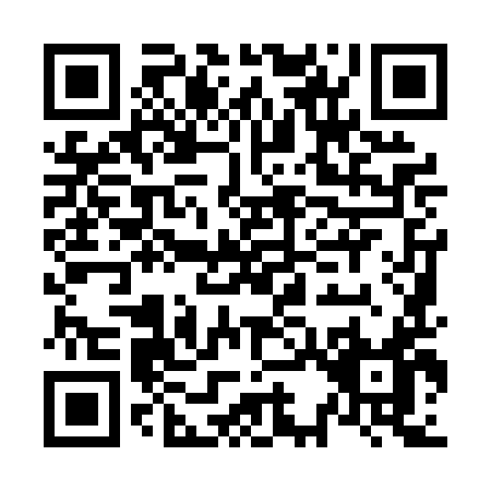 QR code for N390I