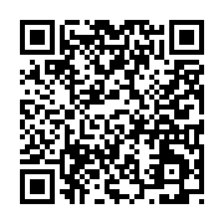 QR code for N390M