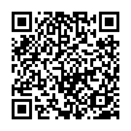 QR code for N392QS