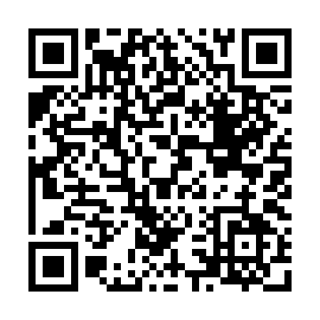 QR code for N393I