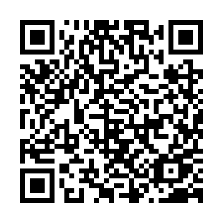 QR code for N393PU