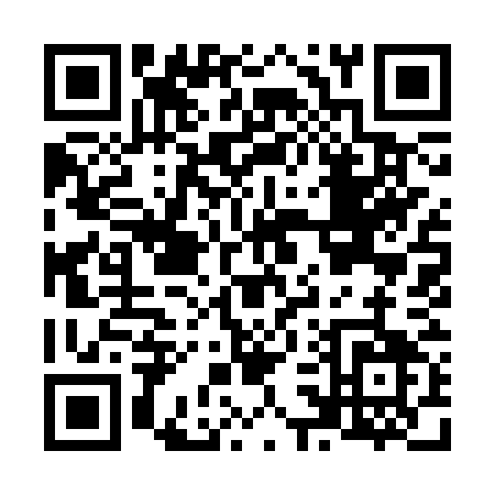 QR code for N393W