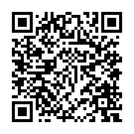QR code for N394M