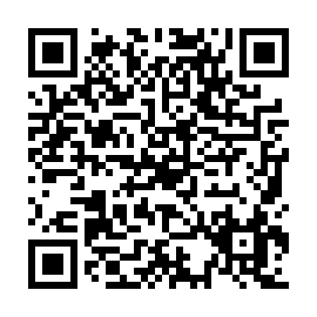 QR code for N394S