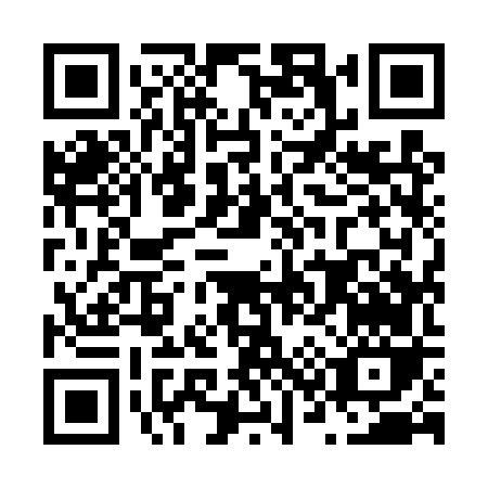 QR code for N394V
