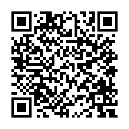 QR code for N394X