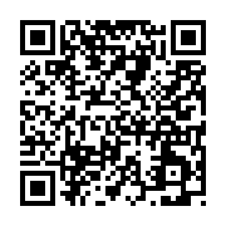 QR code for N394Y