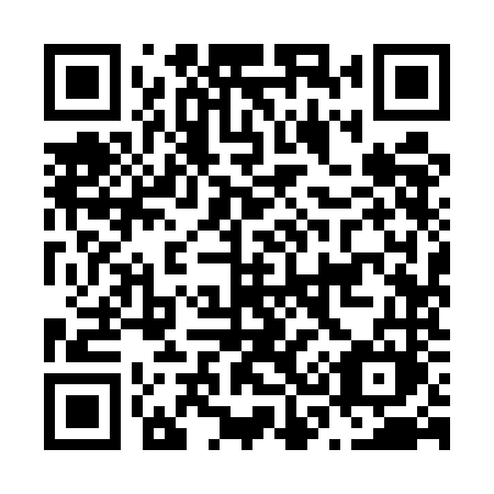 QR code for N395NM
