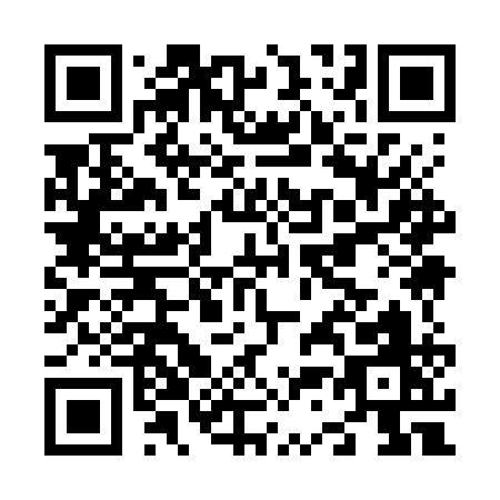 QR code for N397Q