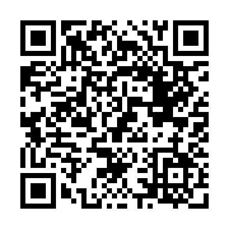 QR code for N399C