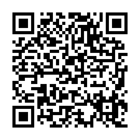 QR code for N399S
