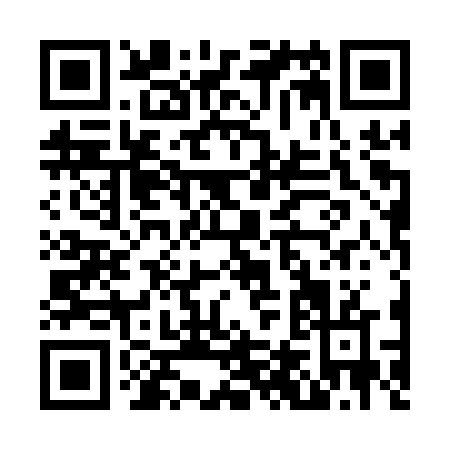 QR code for N401V
