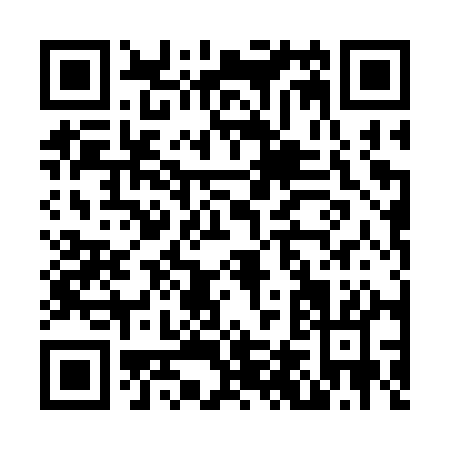 QR code for N403Q