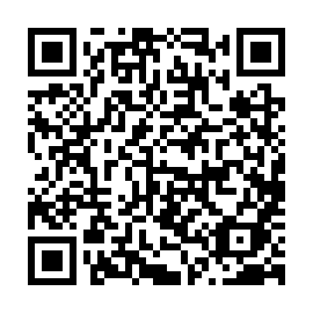 QR code for N403XI