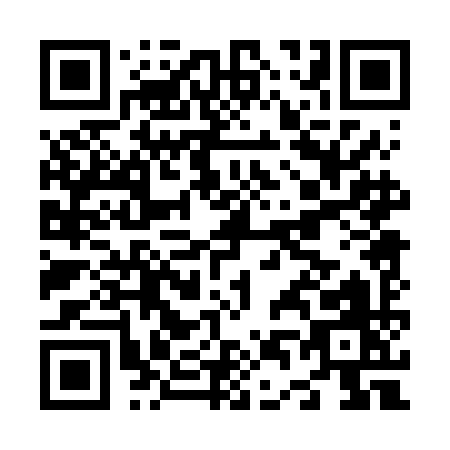QR code for N406I