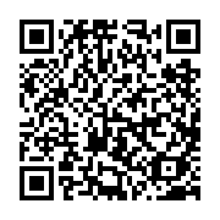 QR code for N407II