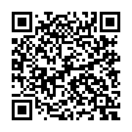 QR code for plate N40 8KC