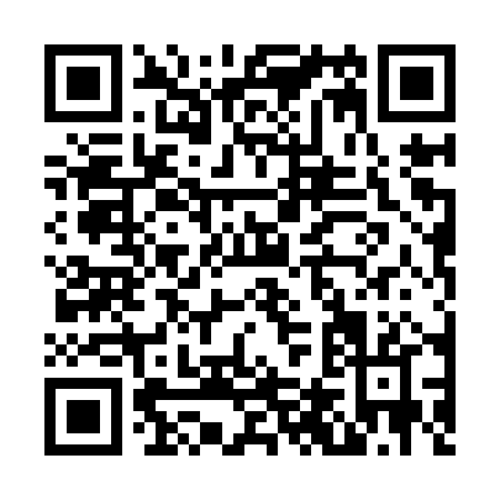 QR code for N409P