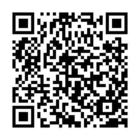QR code for N41 3IN