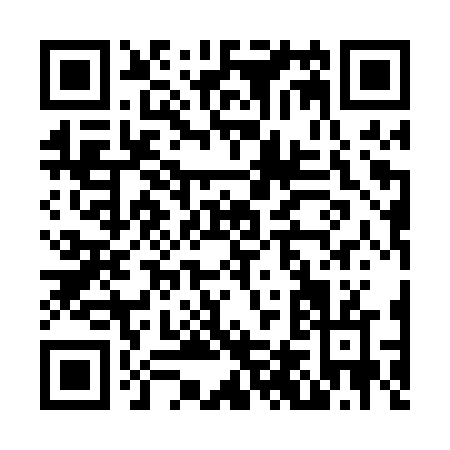 QR code for N410V