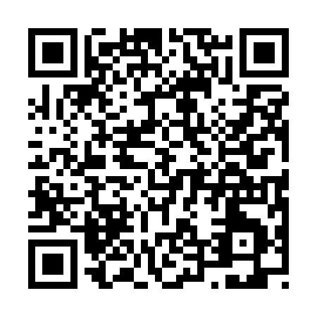 QR code for N411I