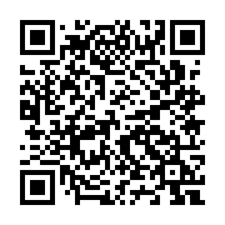 QR code for N411OE