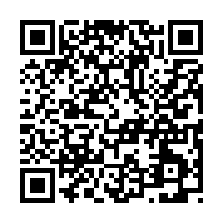 QR code for N411Q