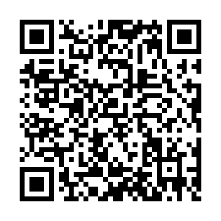 QR code for N413N