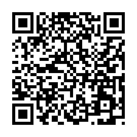QR code for N413V