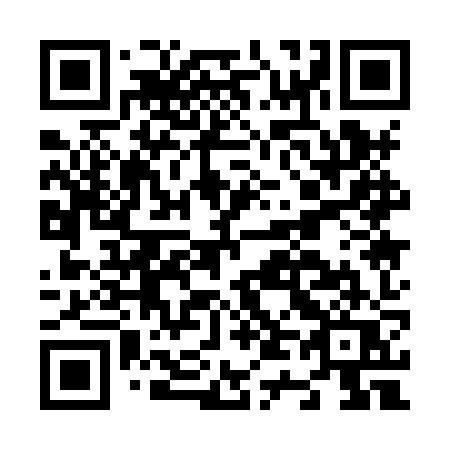 QR code for N418ZQ